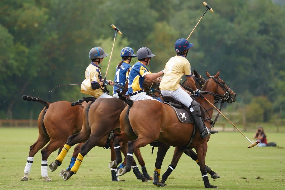 Polo match at the Santa María Polo Club in Sotogrande