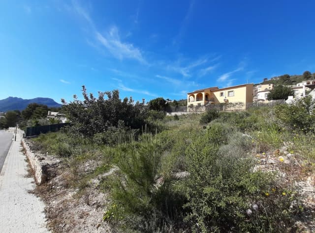 Alcalali II — bg-6461ALC-01.jpg