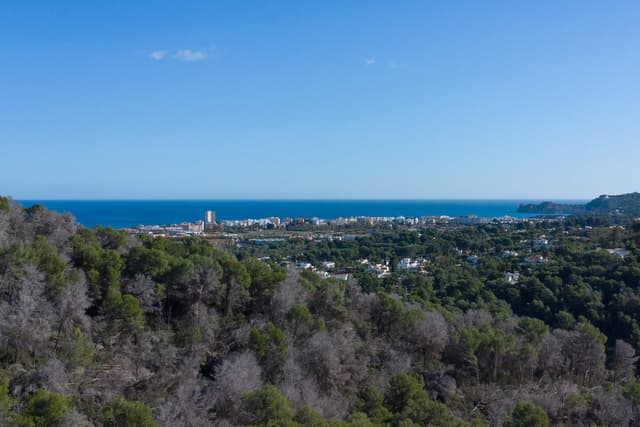 Javea IV — bg-7100JAV-04.jpg