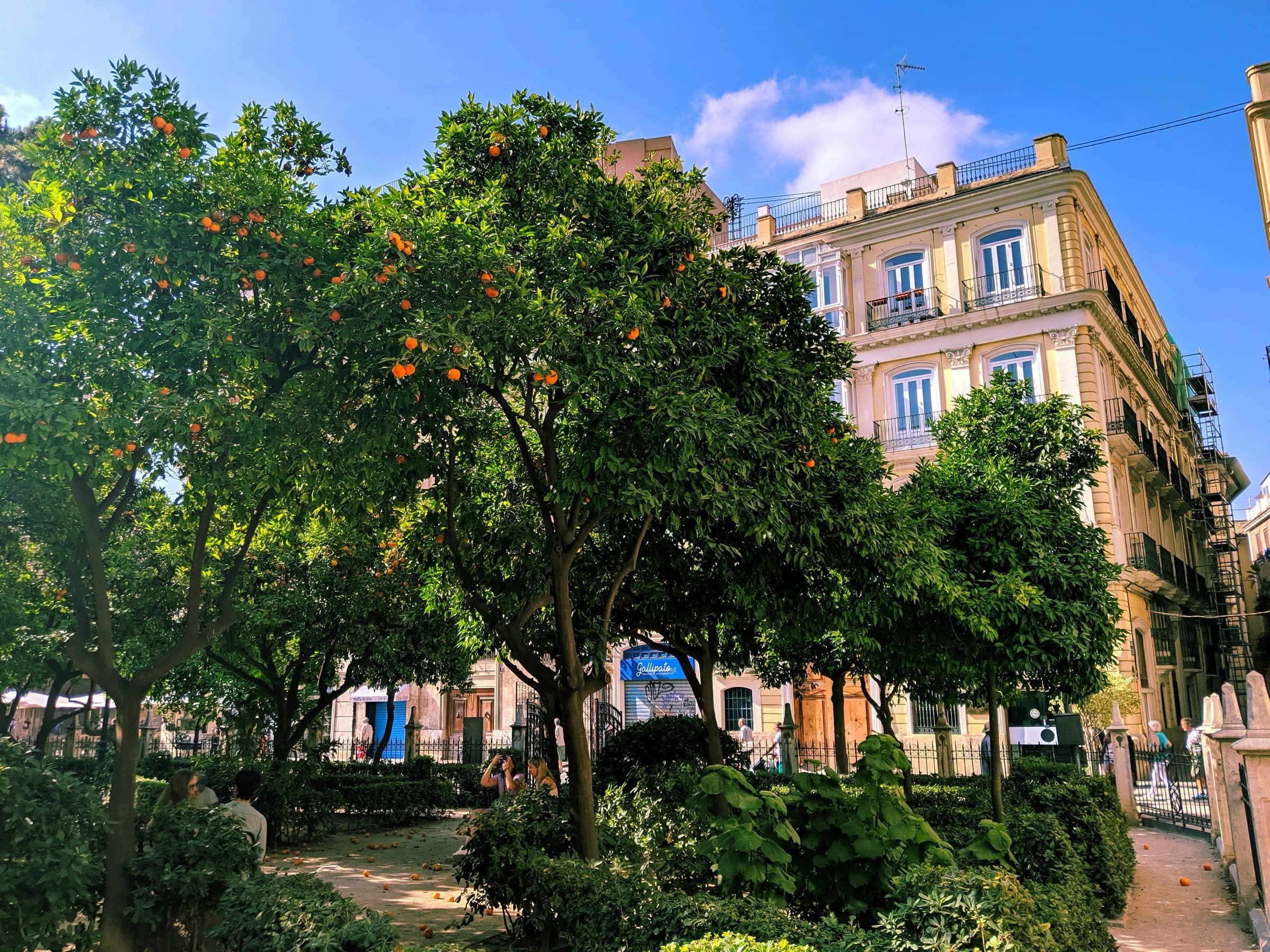 Internationale gemeenschap in Valencia