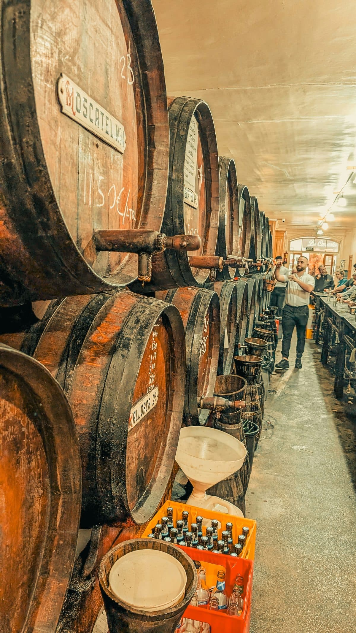 Wijngaarden en een bodega in de Jalón-vallei